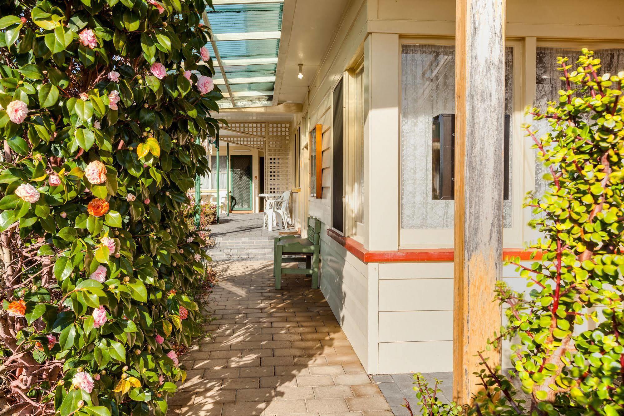 Wintersun Gardens Motel Bicheno Buitenkant foto
