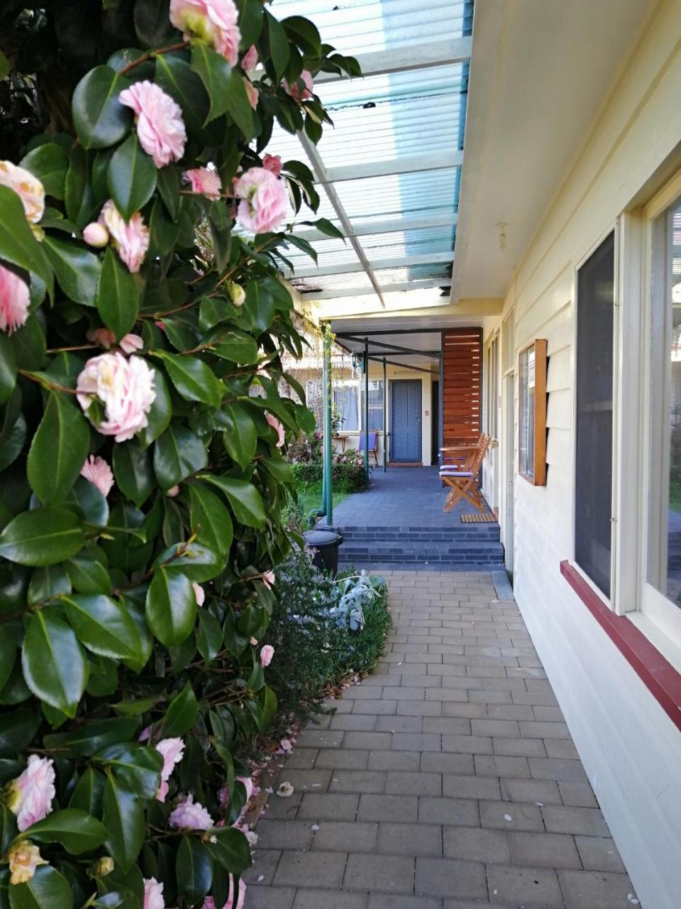 Wintersun Gardens Motel Bicheno Buitenkant foto